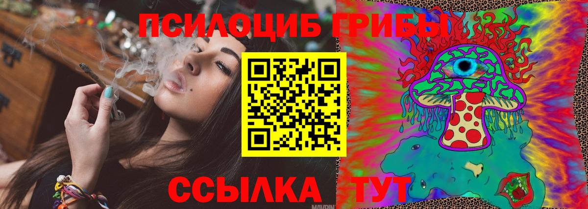 Галлюциногенные грибы Psilocybine cubensis Котлас