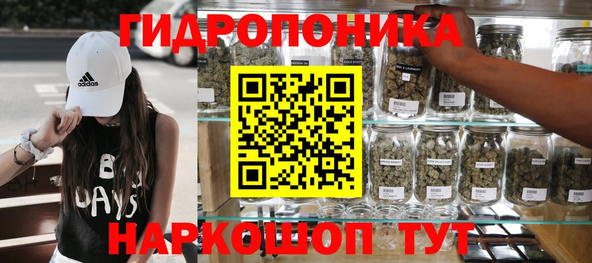Конопля OG Kush Котлас